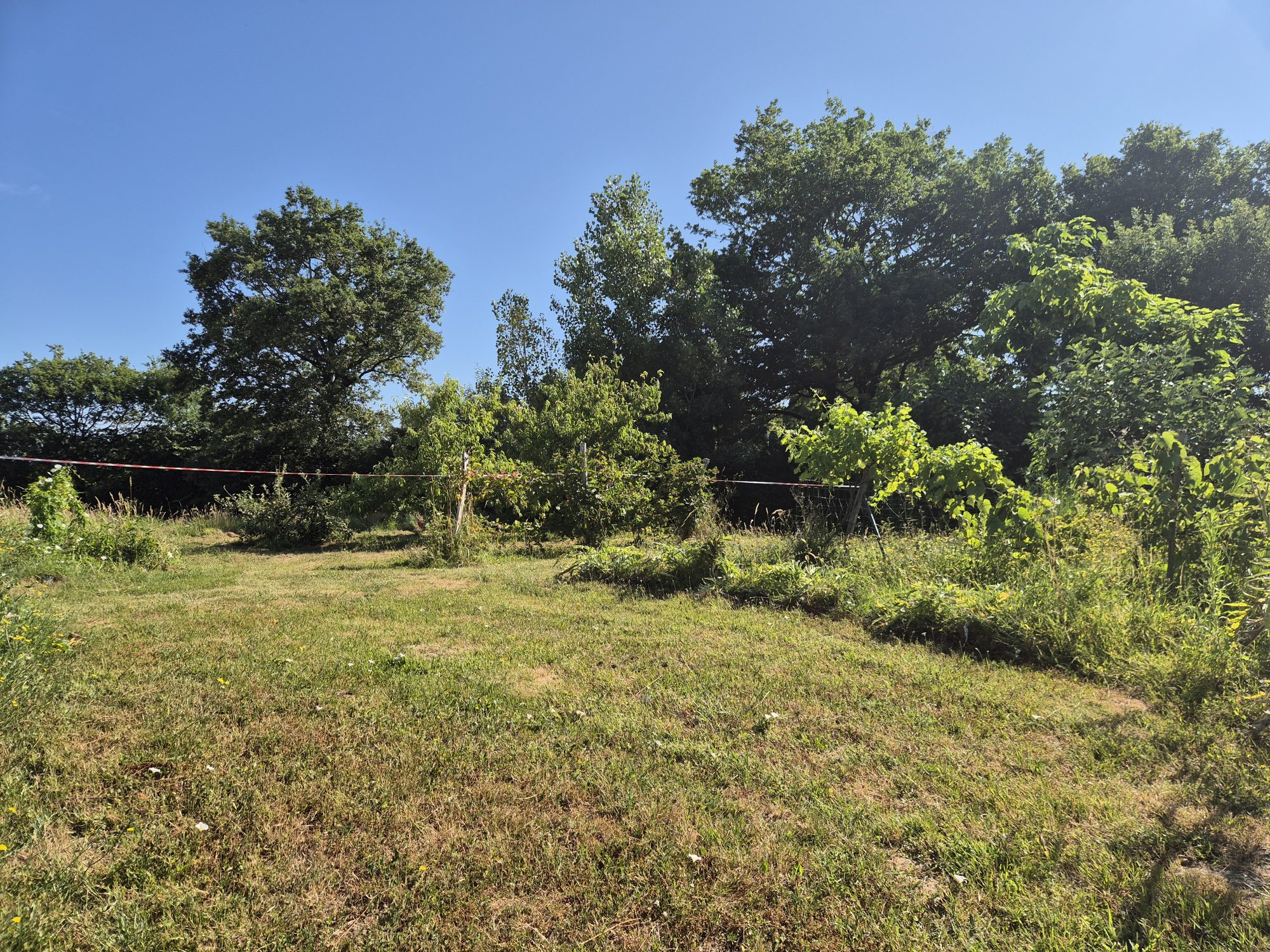 Terrain Grosbreuil photo 7