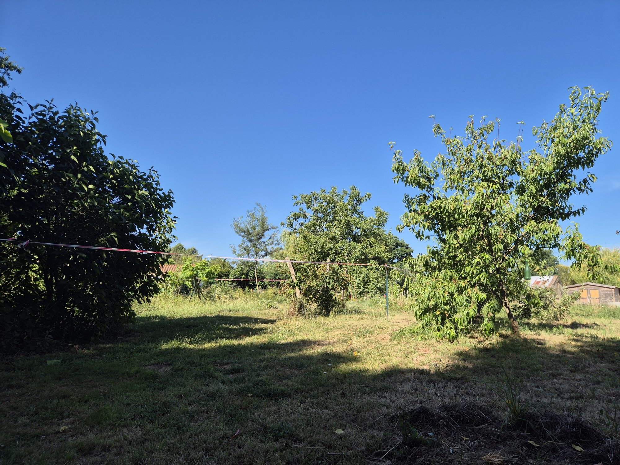 Terrain Grosbreuil photo 8