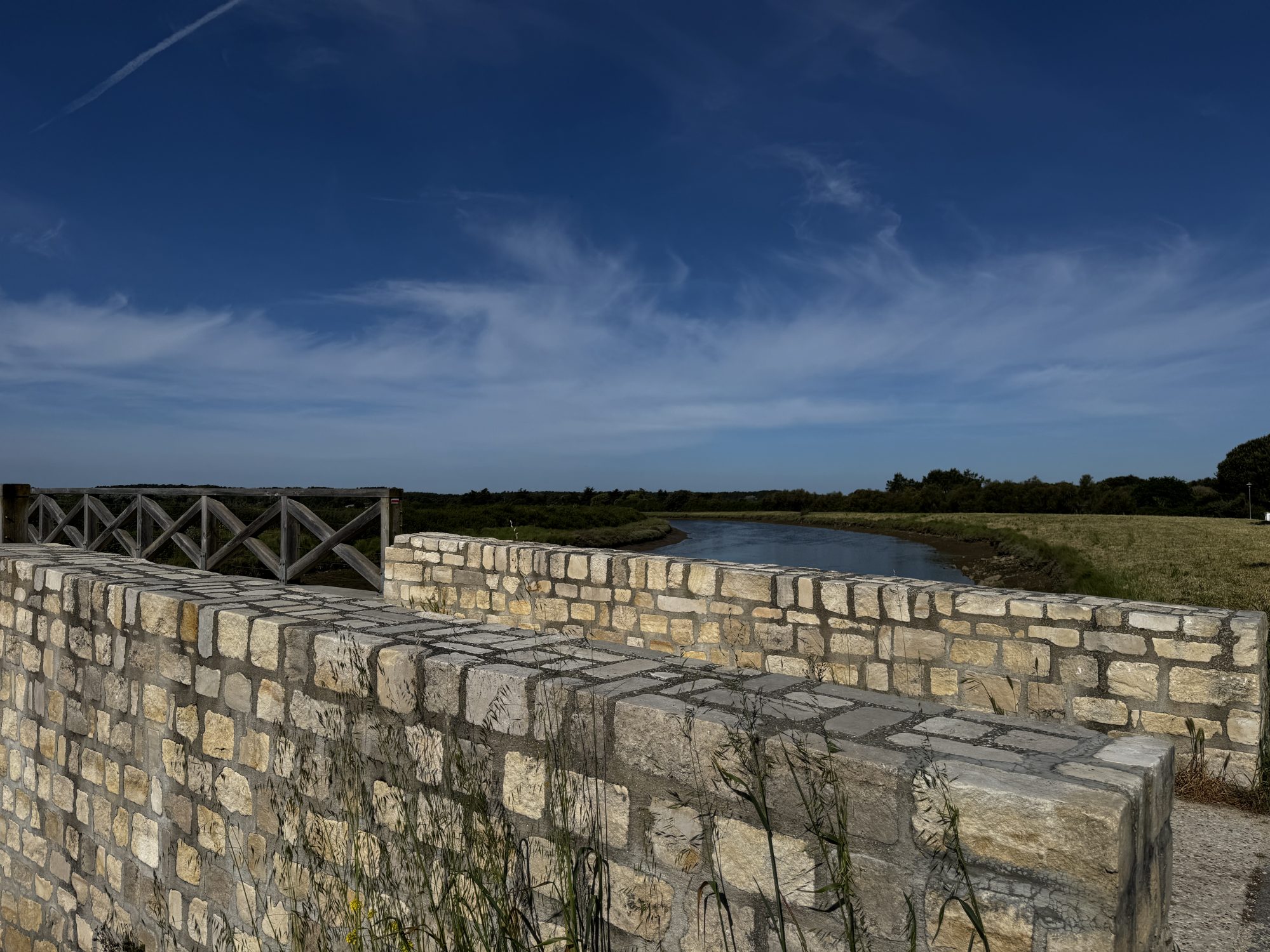 Terrain L'Île-d'Olonne photo 4