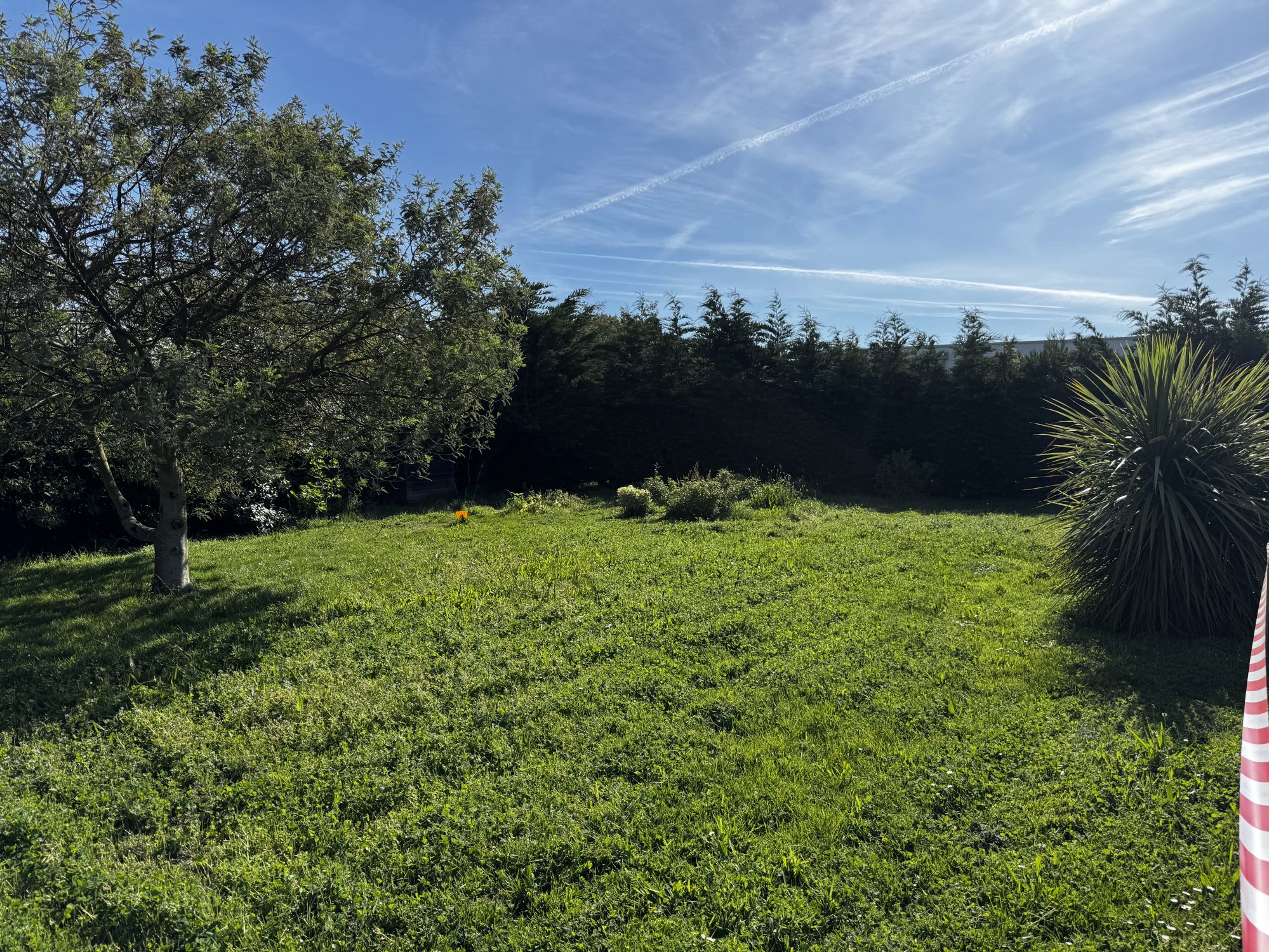 Terrain L'Île-d'Olonne photo 7