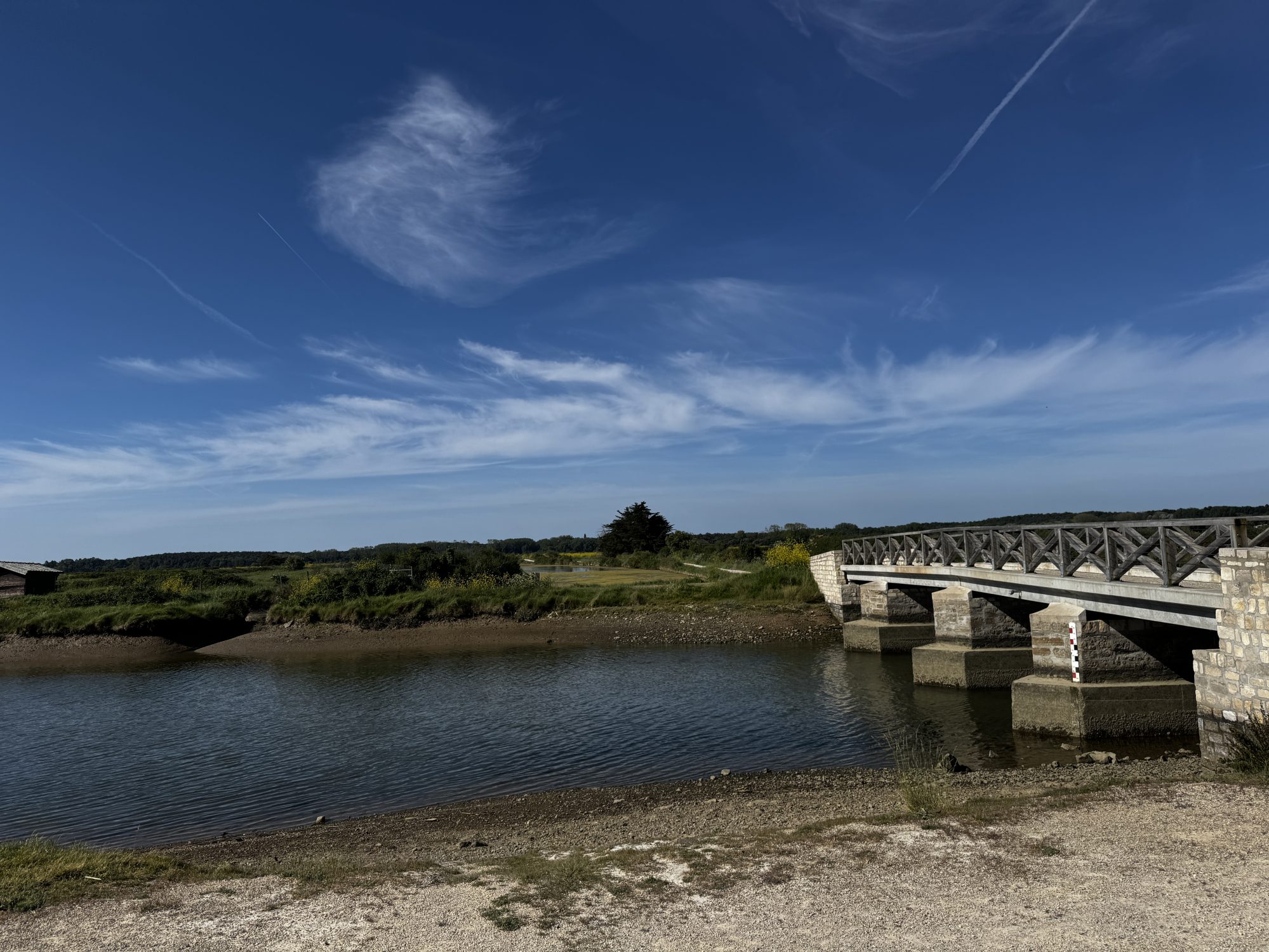 Terrain L'Île-d'Olonne photo 3