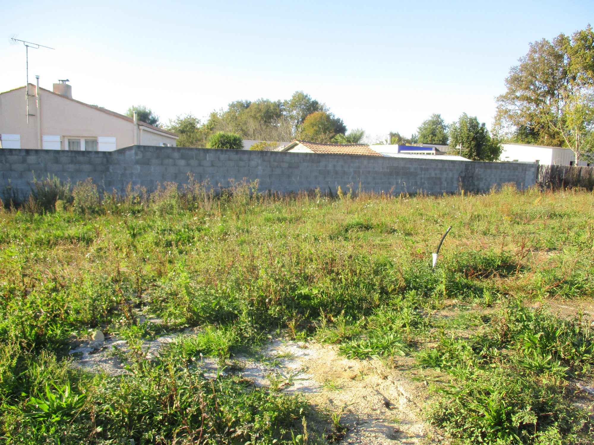Terrain Sainte-Foy photo 8