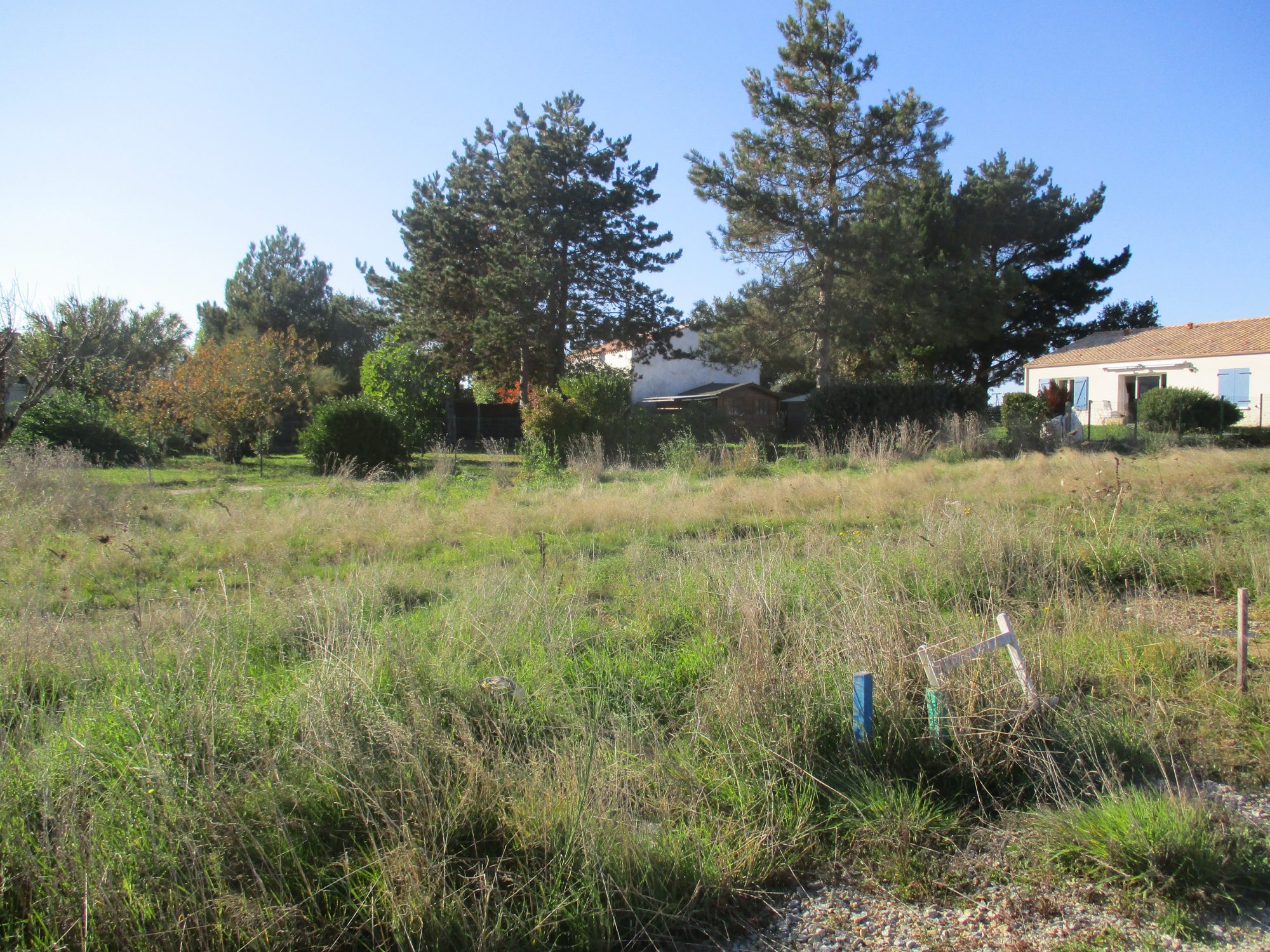 Terrain Brem-sur-Mer photo 8