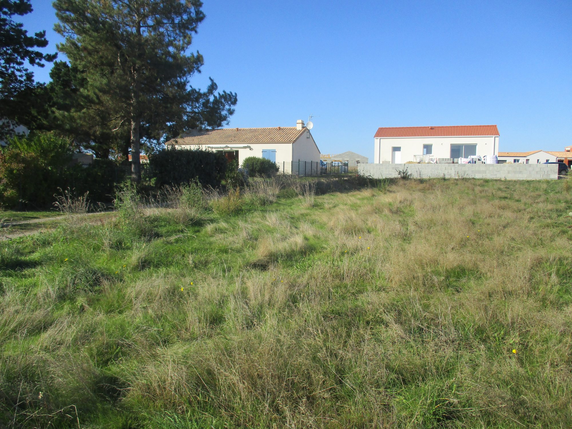 Terrain Brem-sur-Mer photo 9