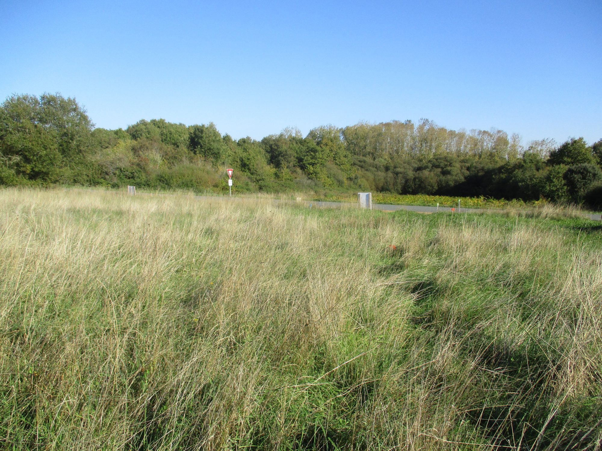 Terrain Brem-sur-Mer photo 4