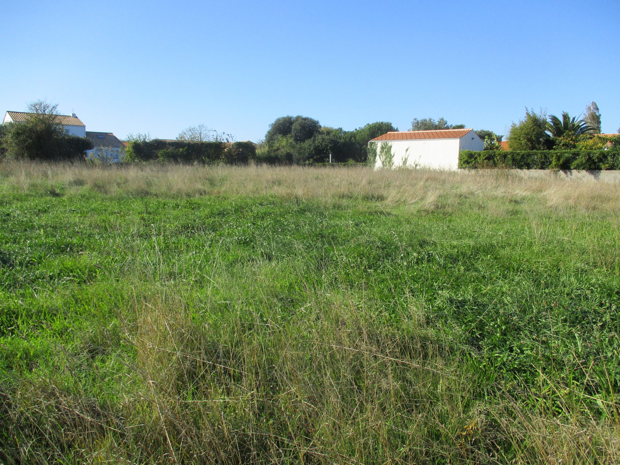 Terrain Brem-sur-Mer photo 3