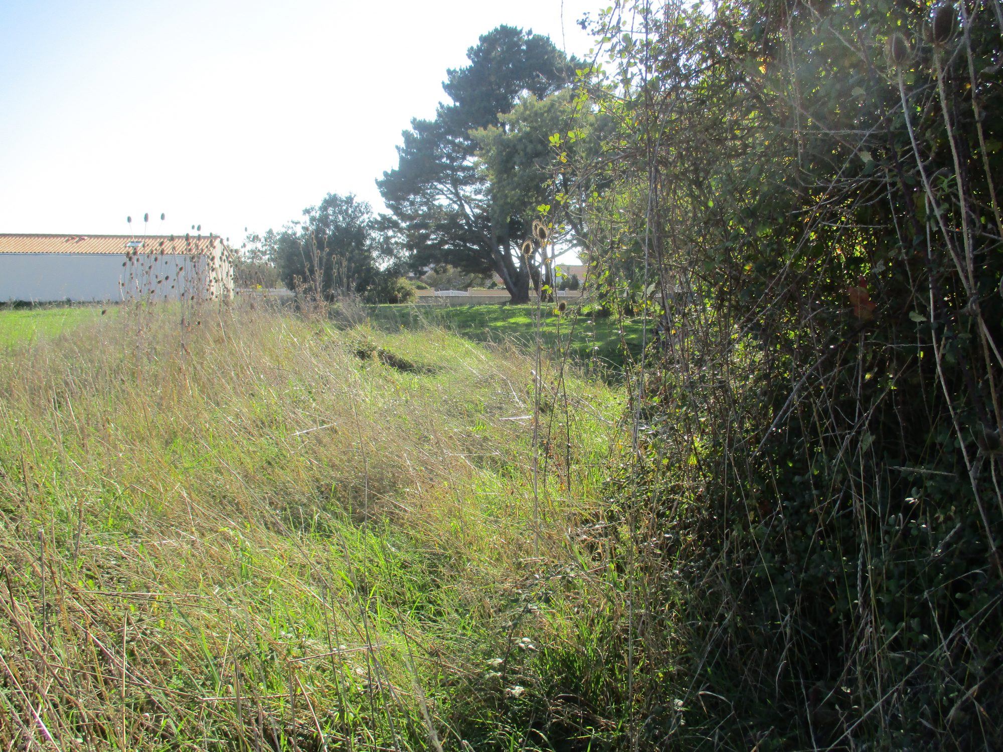 Terrain Brem-sur-Mer photo 8