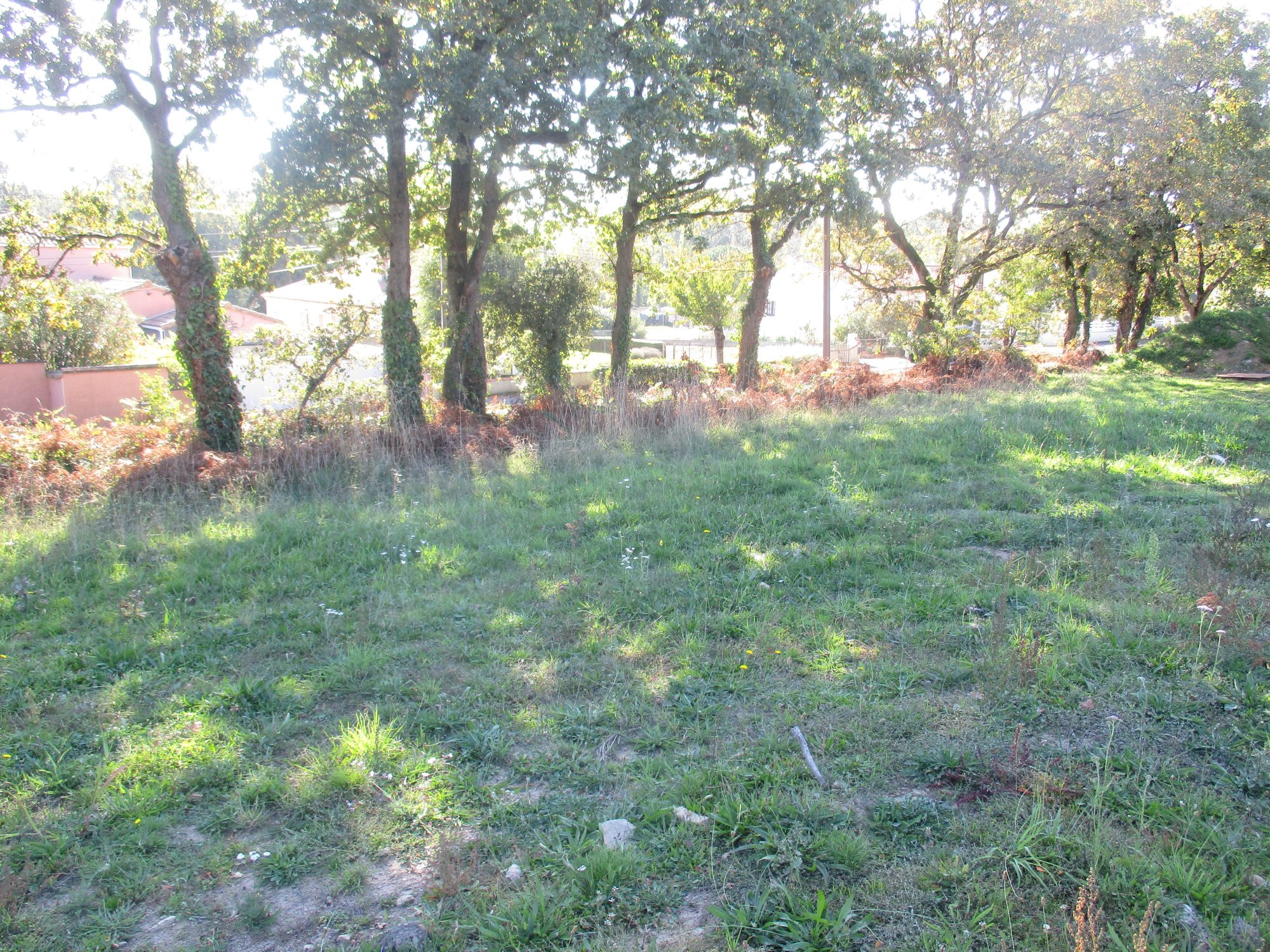 Terrain Vairé photo 3