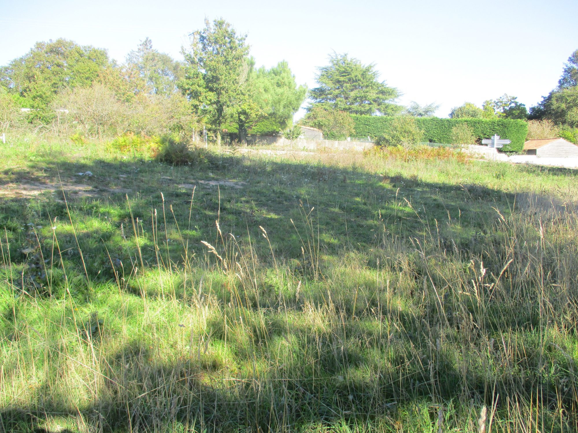 Terrain Vairé photo 4