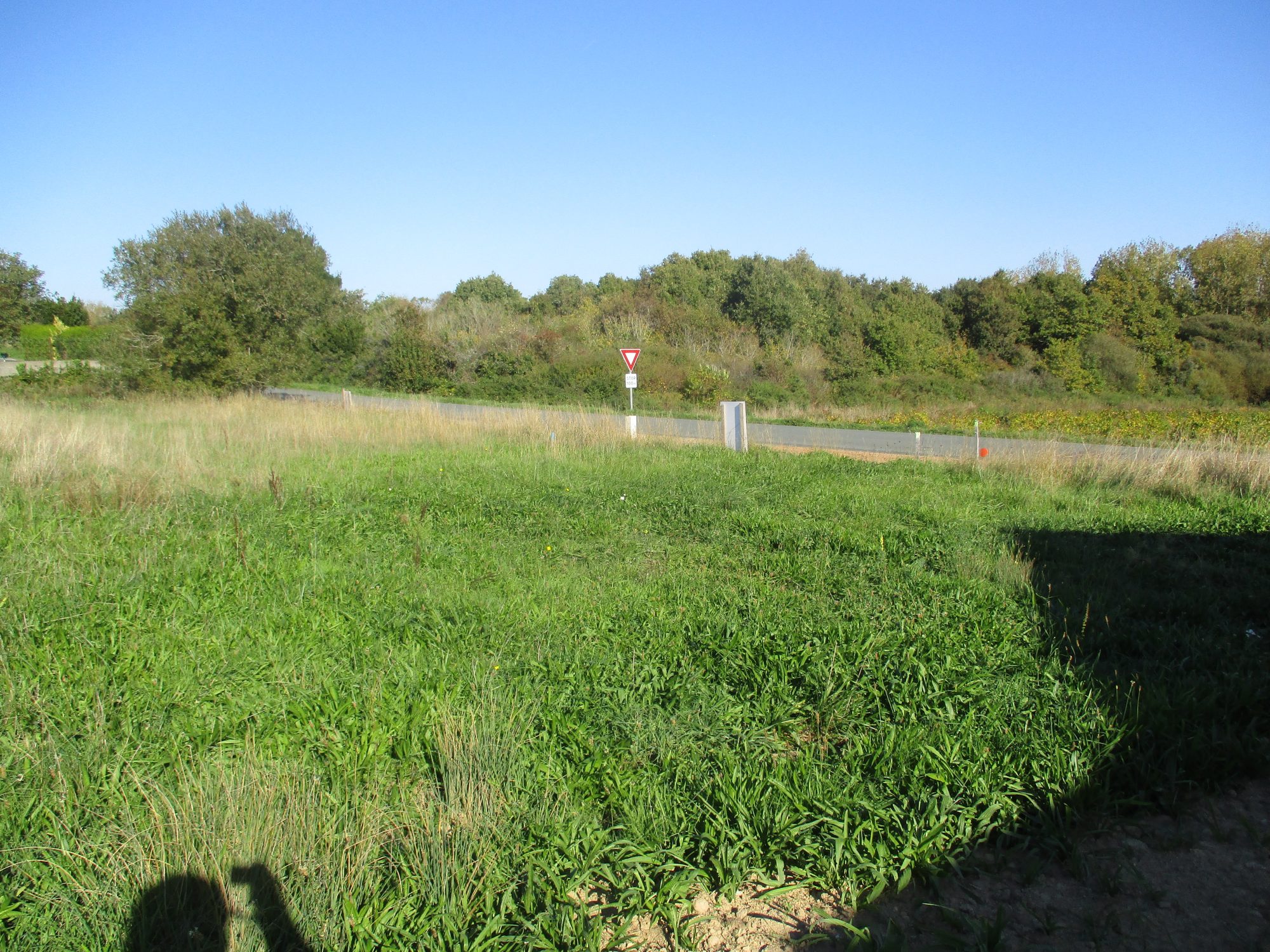 Terrain Brem-sur-Mer photo 5