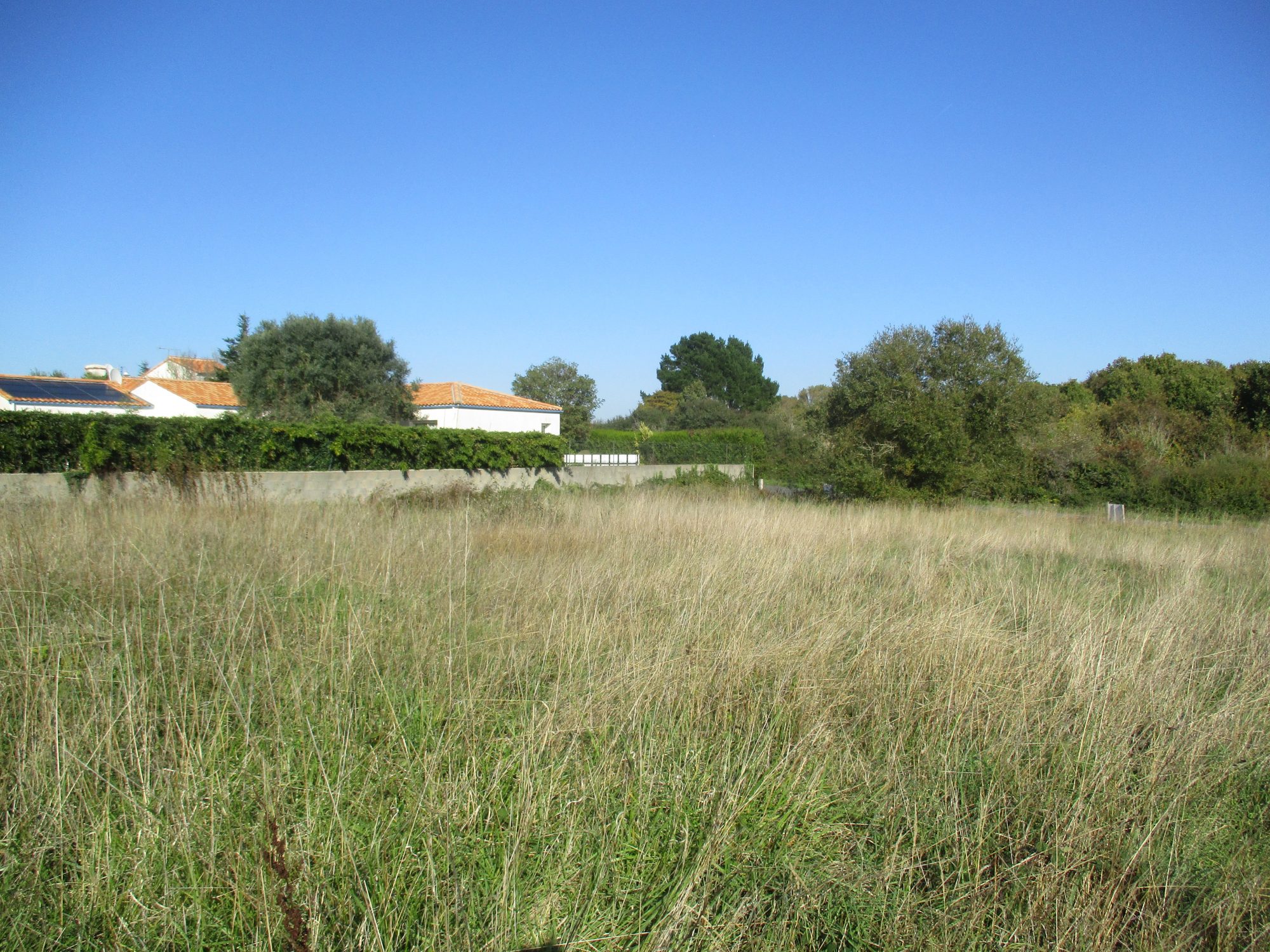 Terrain Brem-sur-Mer photo 6