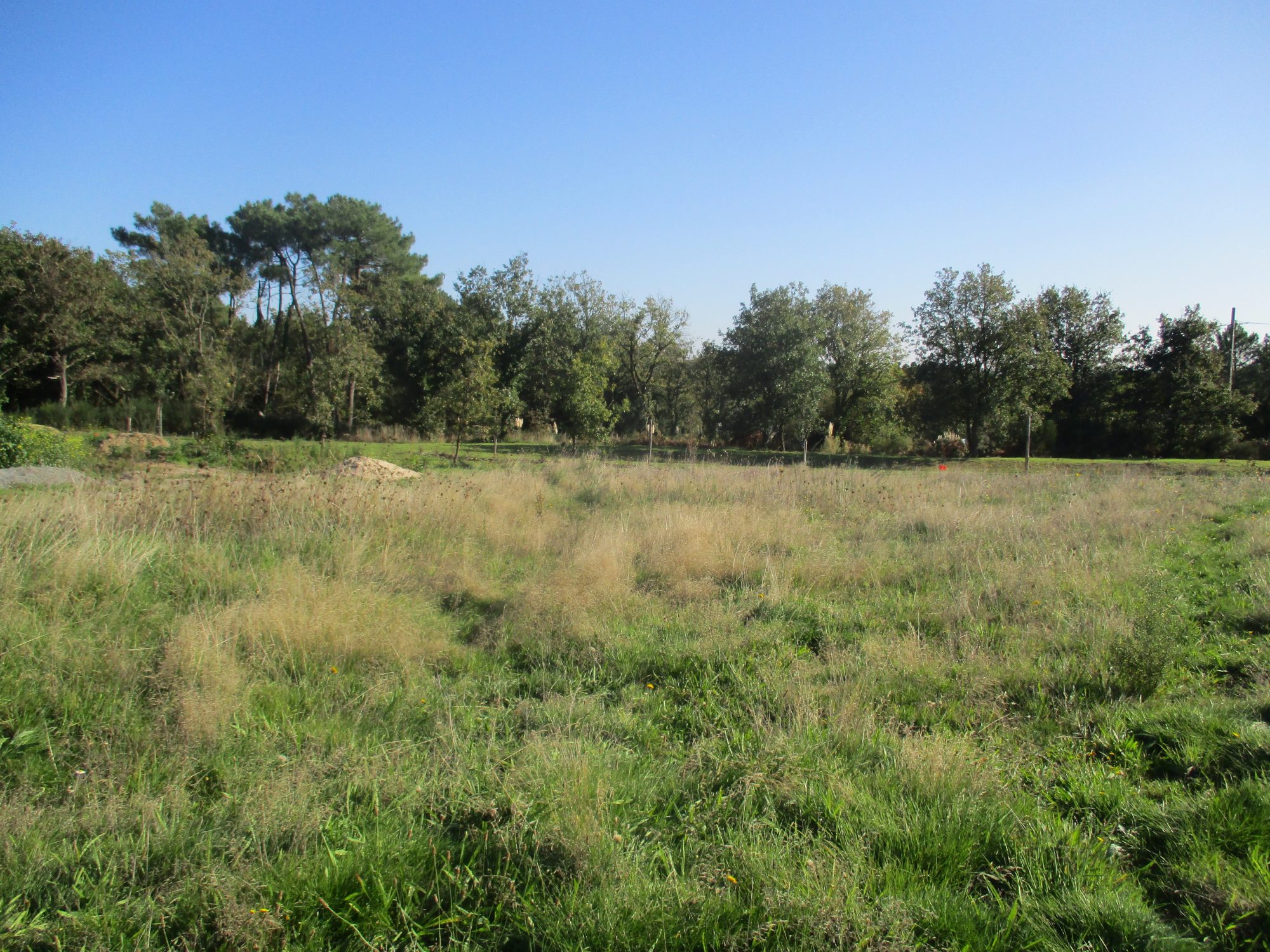 Terrain Brem-sur-Mer photo 4