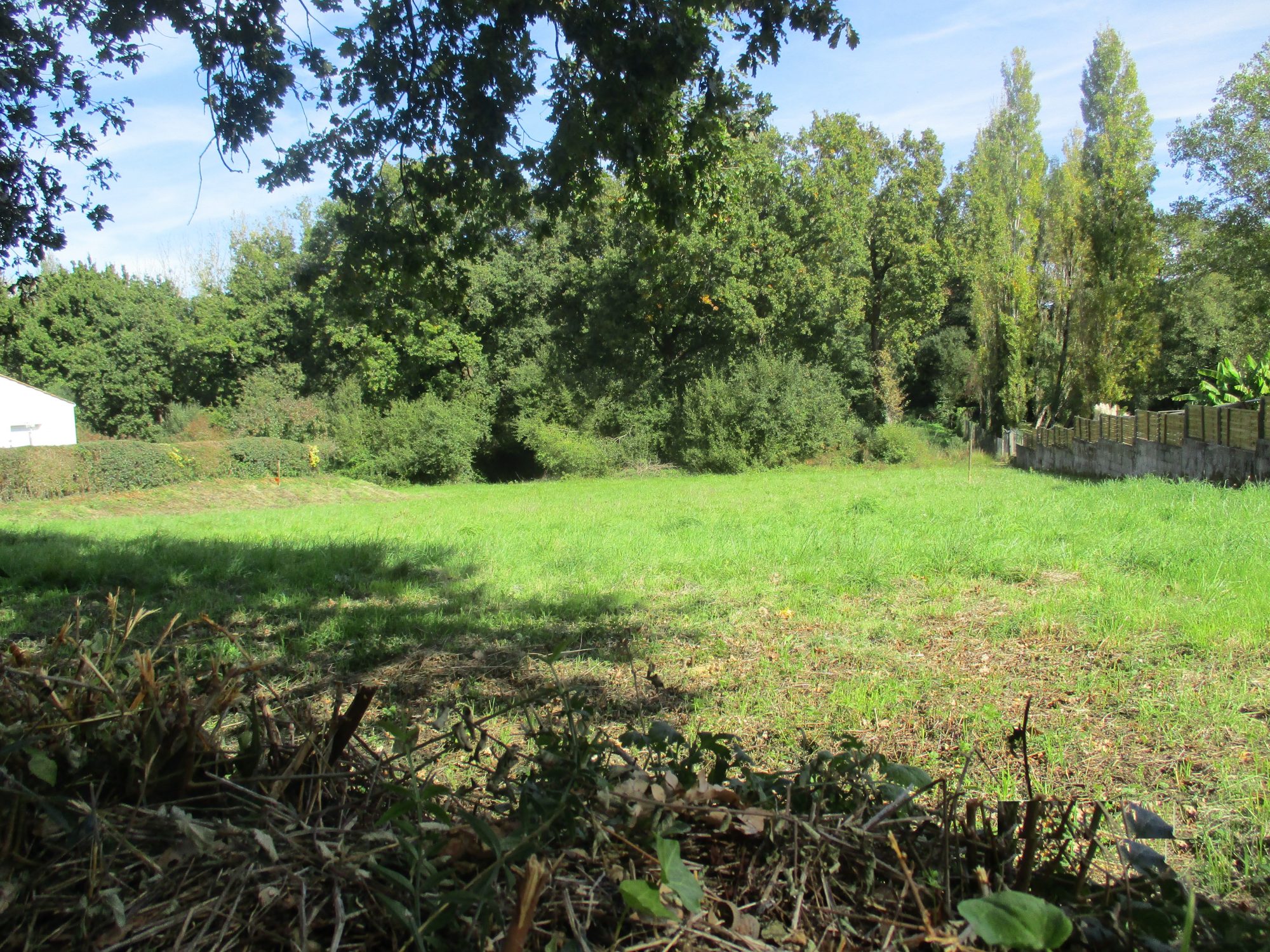 Terrain Sainte-Foy