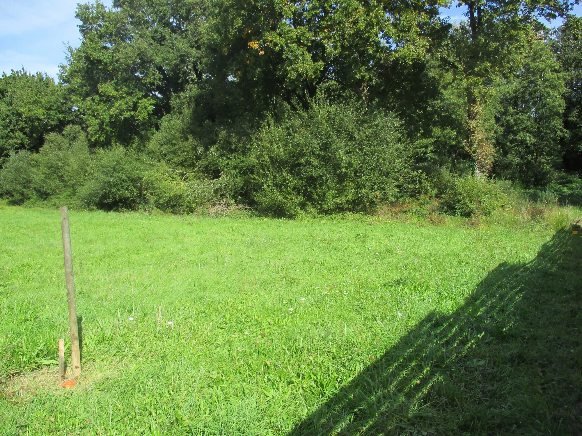 Terrain Sainte-Foy photo 2